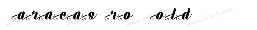 CaracasPro BoldI字体转换